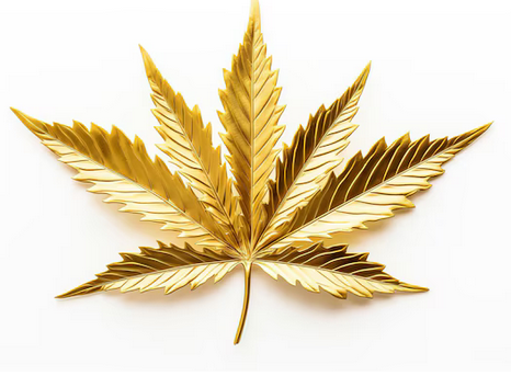 France CBD